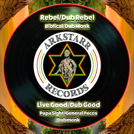 Dub Rebel ft. Dubmonk | Boomplay Music