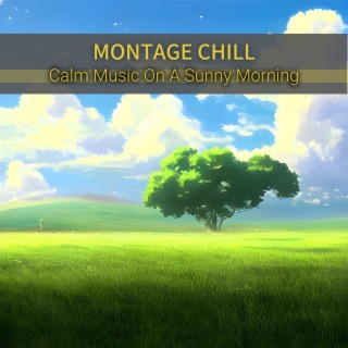 Calm Music on a Sunny Morning