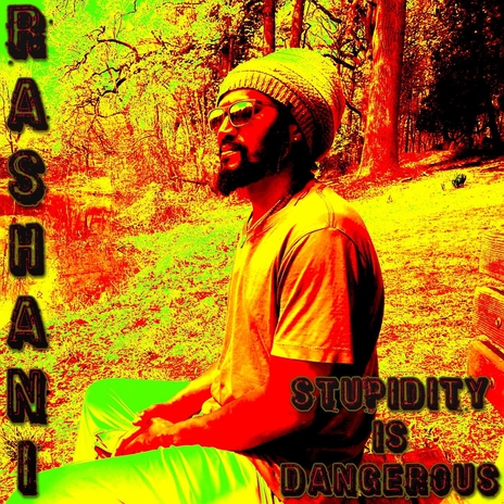 Stupidity Is Dangerous | Boomplay Music