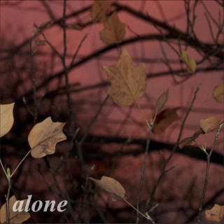 alone lyrics | Boomplay Music