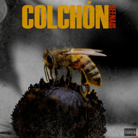 Colchón | Boomplay Music