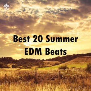 Best 20 Summer EDM Beats