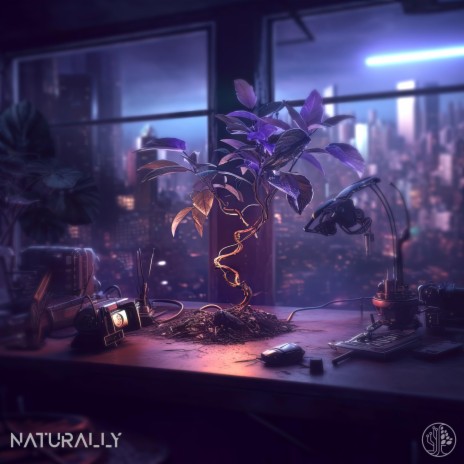Naturally | Boomplay Music