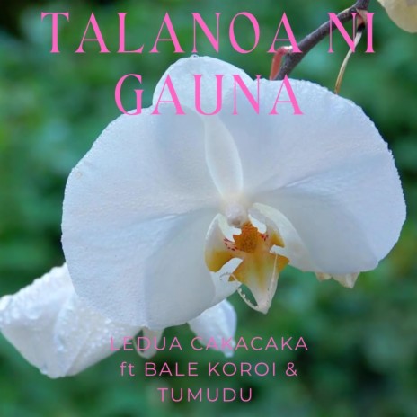 Talanoa Ni Gauna ft. Bale Koroi & Ledua Cakacaka