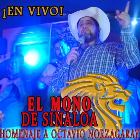 MORENA MORENITA - El Mono De Sinaloa MP3 download | MORENA MORENITA - El  Mono De Sinaloa Lyrics | Boomplay Music