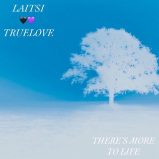 THERE'S MORE TO LIFE ft. TRUELOVE lyrics | Boomplay Music