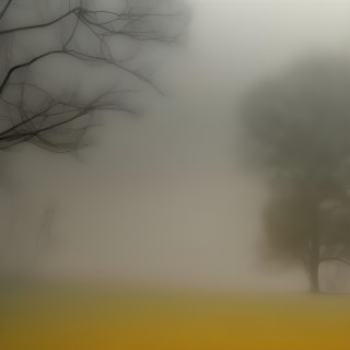 Whispers in the mist