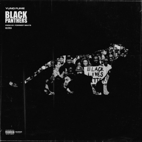 Black Panthers | Boomplay Music