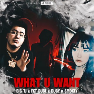 What U Want ft. DÜCY & FXT-DUBE lyrics | Boomplay Music