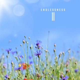 Endlessness II