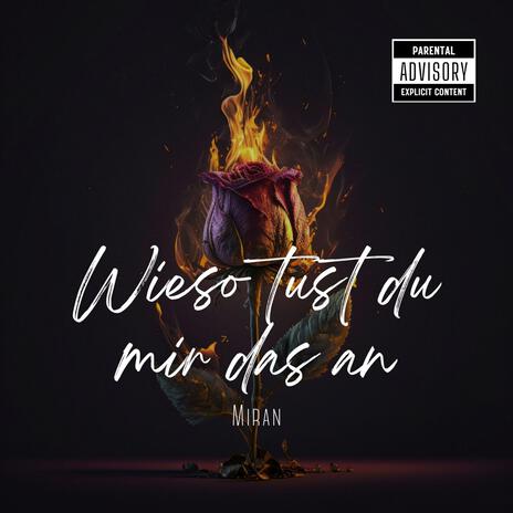 Wieso tust du mir das an | Boomplay Music