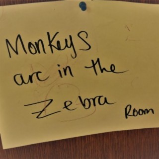 Monkeys are in the Zebra Room