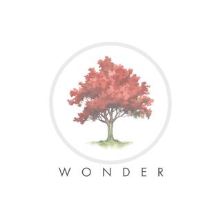 Wonder