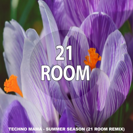 Summer Season (21 ROOM Remix)
