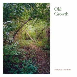 Old Growth