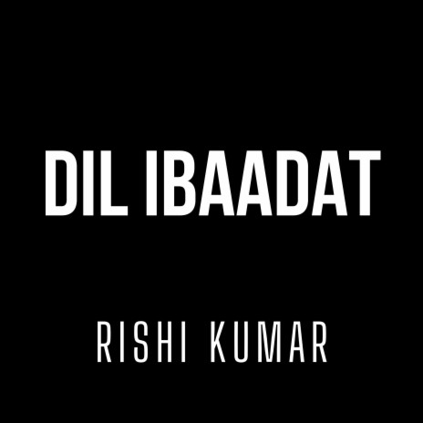 Dil Ibaadat (Instrumental Version) | Boomplay Music