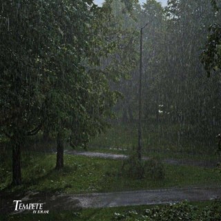 Tempête lyrics | Boomplay Music