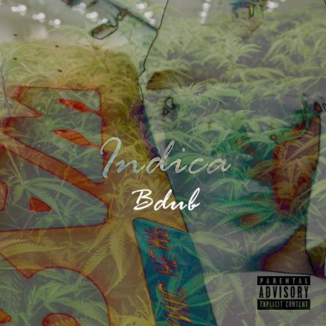Indica Bdub (Indica Badu Remix) | Boomplay Music