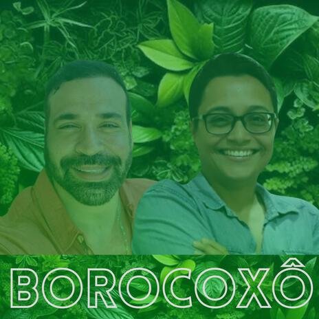 Borocoxô | Boomplay Music