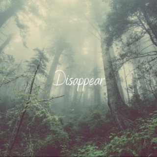 Disappear