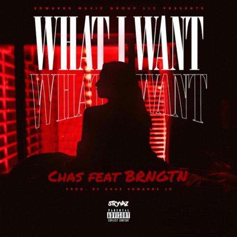 What I Want (Radio Edit) ft. BRNGTN | Boomplay Music