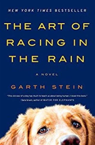 The Art of Racing in the Rain by Garth Stein, book to movie review