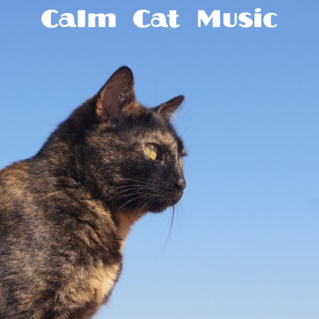 Melody ft. Music for Cats & Cats Music Zone