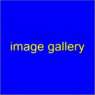 image gallery
