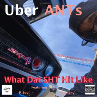 Uber ANTs