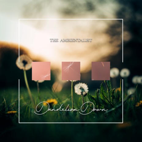 Dandelion Down | Boomplay Music