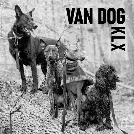 Van Dog | Boomplay Music