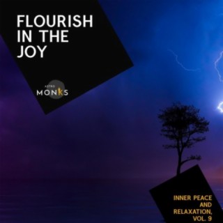 Flourish in the Joy - Inner Peace and Relaxation, Vol. 9