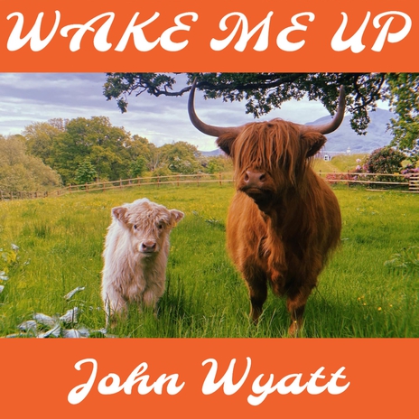 WAKE ME UP (Instrumental Version) | Boomplay Music