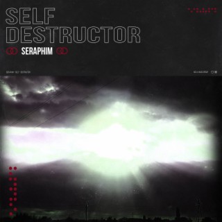 Self - Destructor