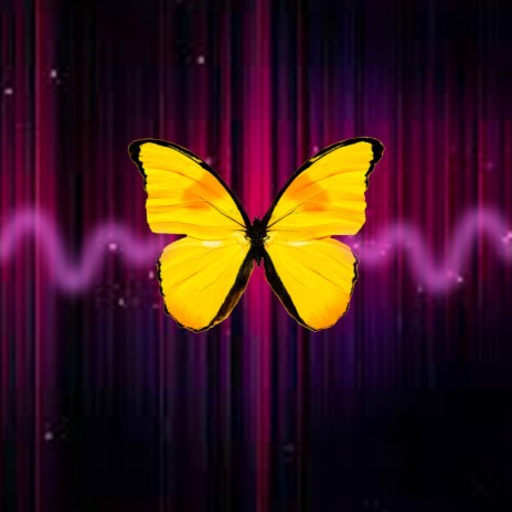 Butterfly Effect | Boomplay Music