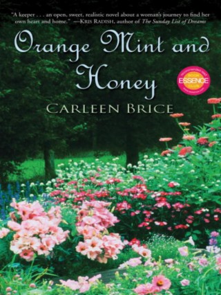 Orange Mint Honey by Carleen Brice and the movie adaptation called "Sins of the Mother"