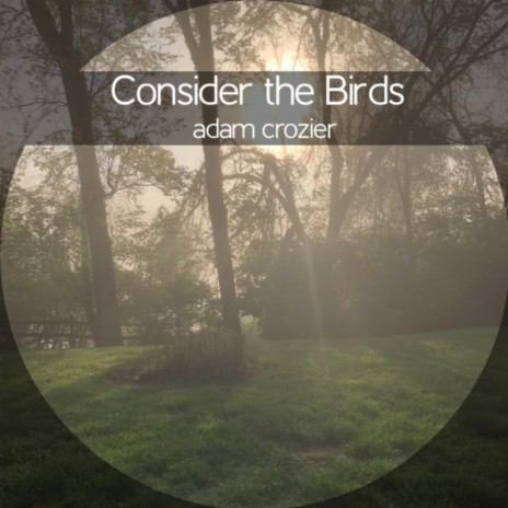 Consider the Birds | Boomplay Music