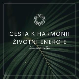 Cesta K Harmonii Životní Energie