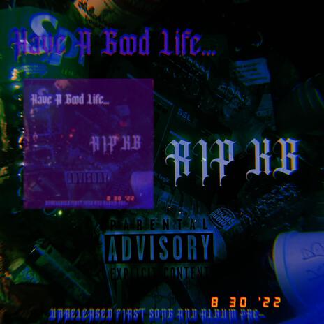 Have A Good Life... (Album pre) | Boomplay Music