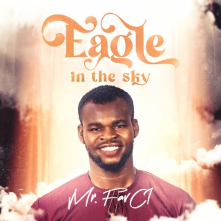 Eagle In The Sky