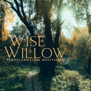 Wise Willow: Native American Shamanic Music, Vocal Chants, Transformation Meditation to Disconnect from Unhealthy Connections, Healing & Release