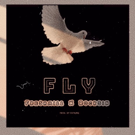 Fly ft. Rocksin | Boomplay Music