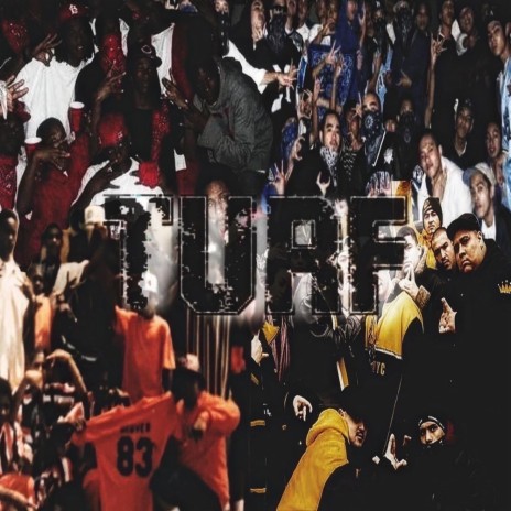 TURF | Boomplay Music