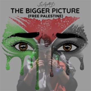 The Bigger Picture Free Palestine