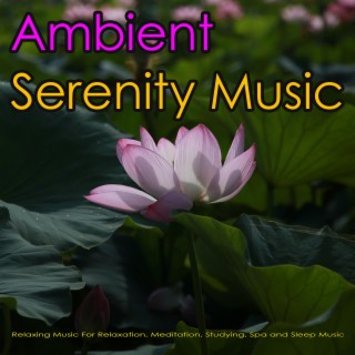 Ambient Serenity Music: Relaxing Music For Relaxation, Meditation, Studying, Spa and Sleep Music