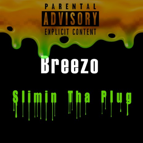 Slimin Tha Plug | Boomplay Music