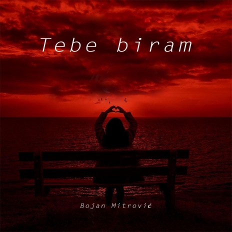 Tebe biram | Boomplay Music