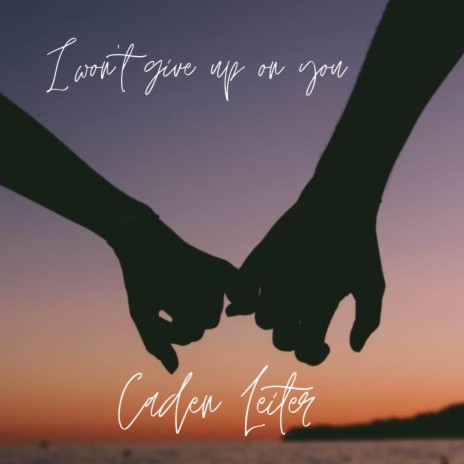 I won't give up on you | Boomplay Music