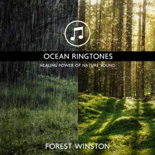 Ocean Ringtones - Healing Power of Nature Sounds for Sleep and Relaxation, Calming Waters