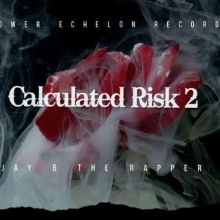 Calculated Risk 2